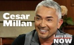 Cesar Millan on 'Larry King Now' - 3/11/2014